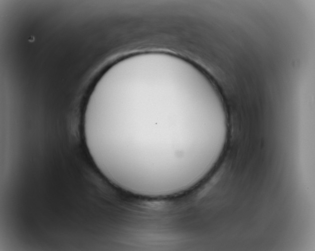 X0000089871502200707121745