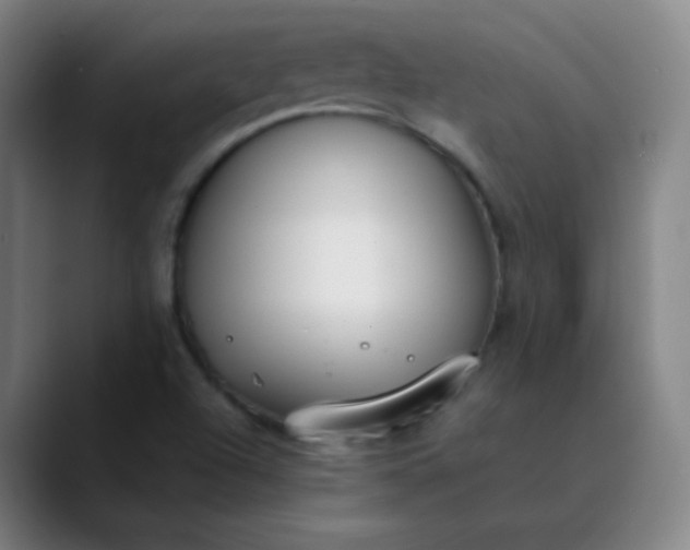 X0000089871504200707121745