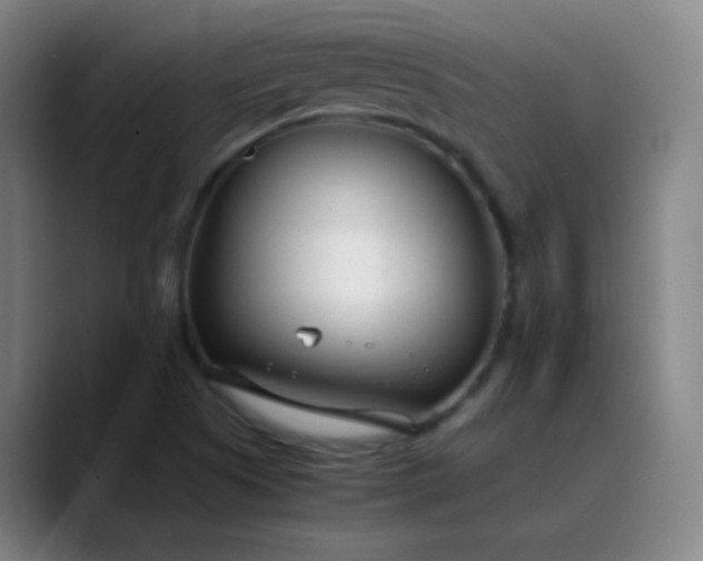 X0000089871505200707121745
