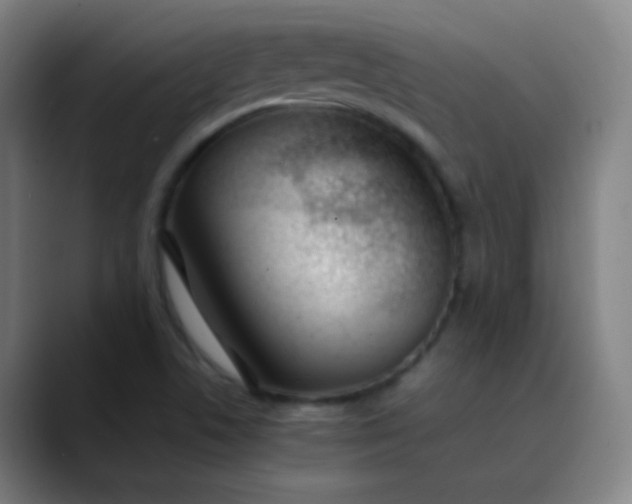 X0000089871506200707121745