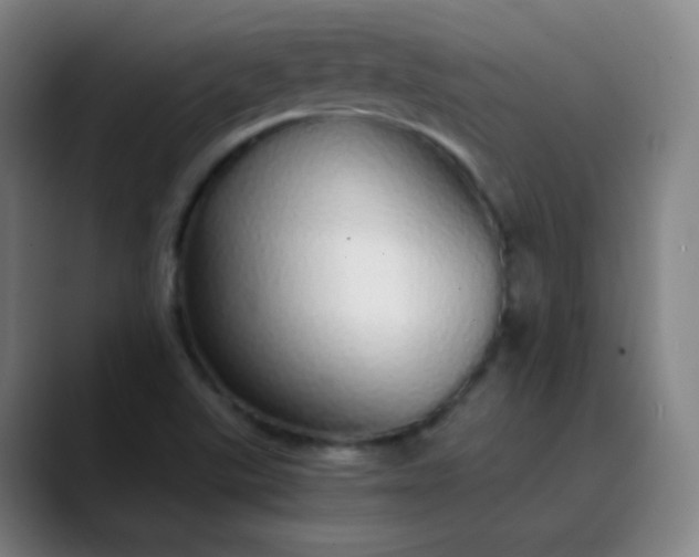 X0000089871507200707121745