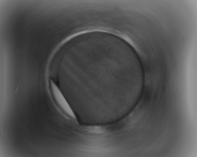 X0000089871508200707121745