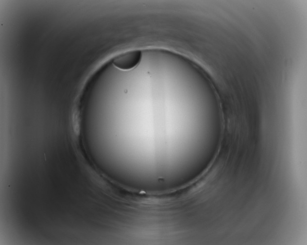 X0000089871510200707121745