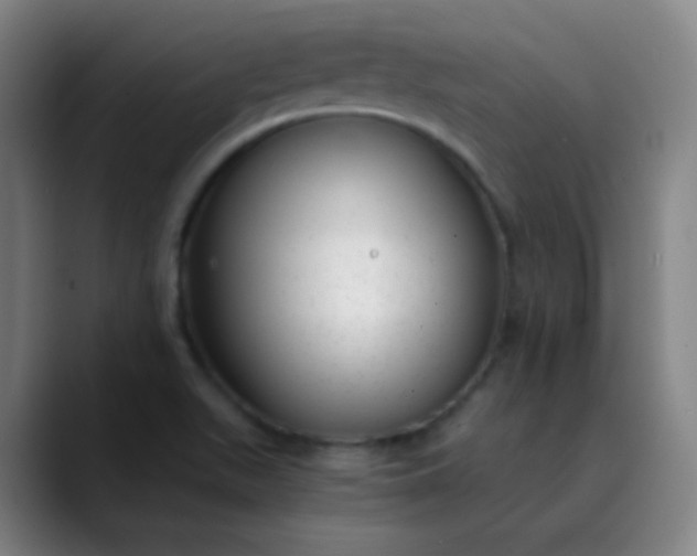 X0000089871511200707121745