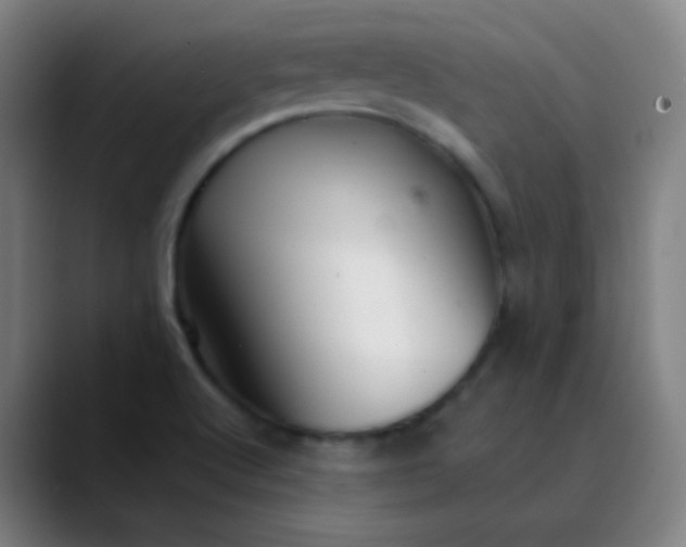 X0000089871512200707121745