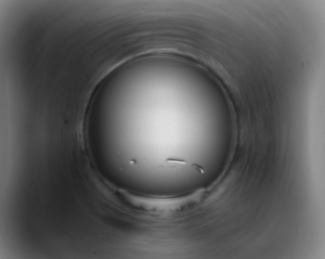 X0000089871513200707121745
