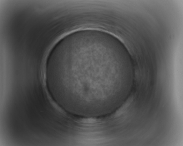 X0000089871515200707121745