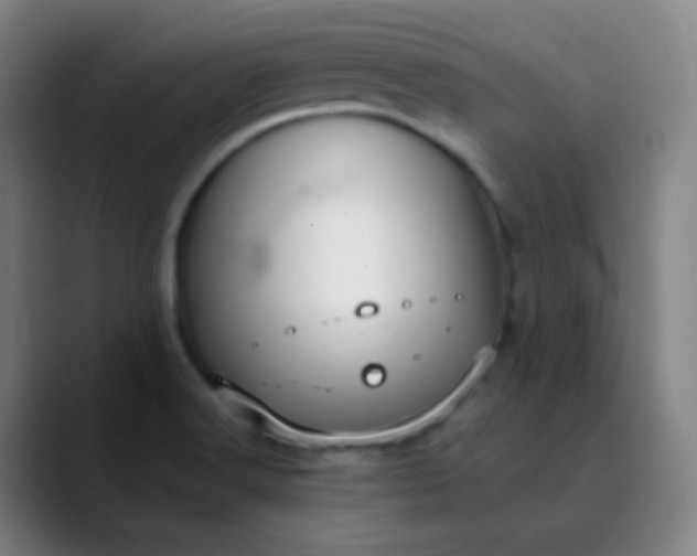 X0000089871516200707121745