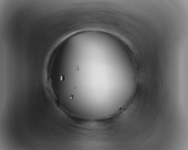 X0000089871517200707121745