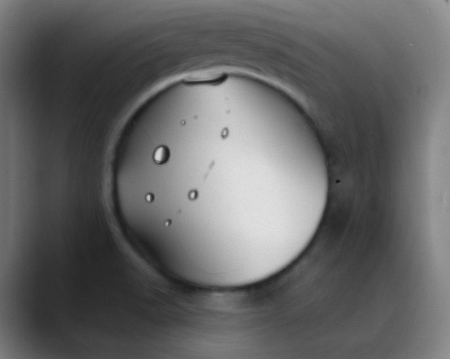 X0000089871518200707121745