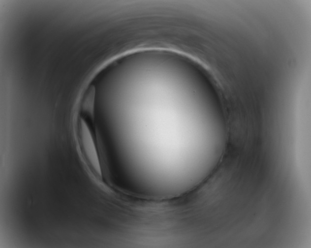 X0000089871519200707121745
