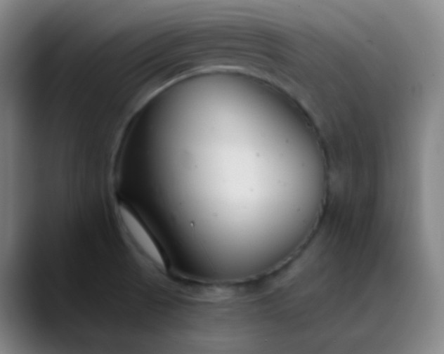 X0000089871521200707121745