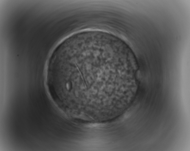 X0000089871522200707121745