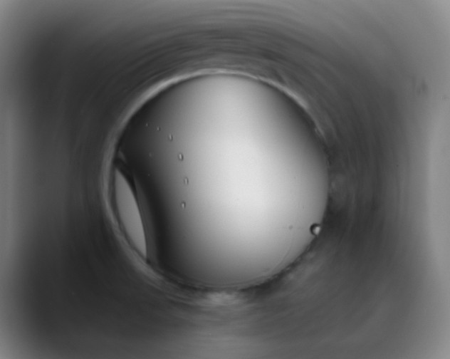 X0000089871523200707121745