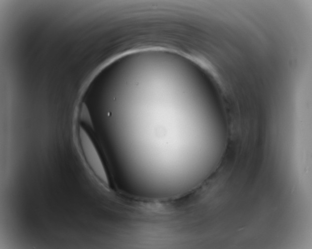 X0000089871524200707121745