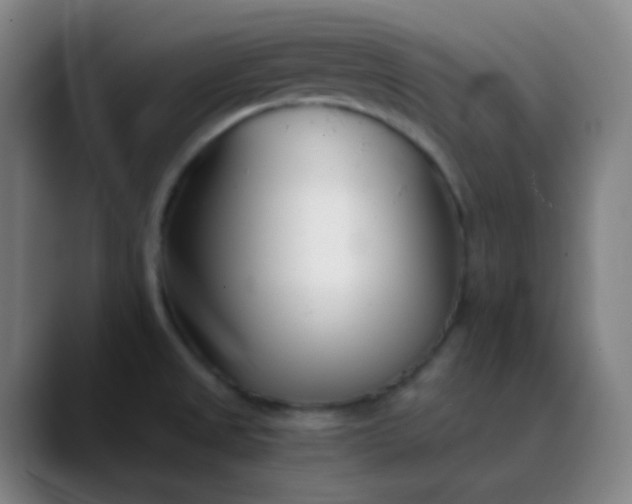 X0000089871525200707121745