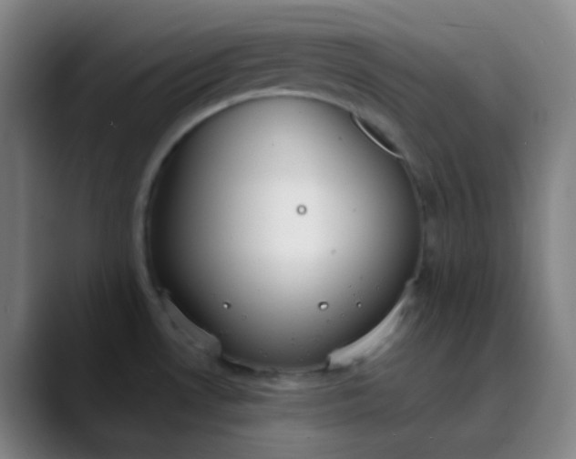 X0000089871530200707121745
