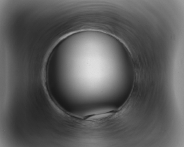 X0000089871531200707121745