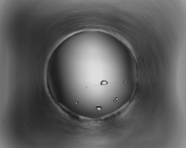 X0000089871533200707121745