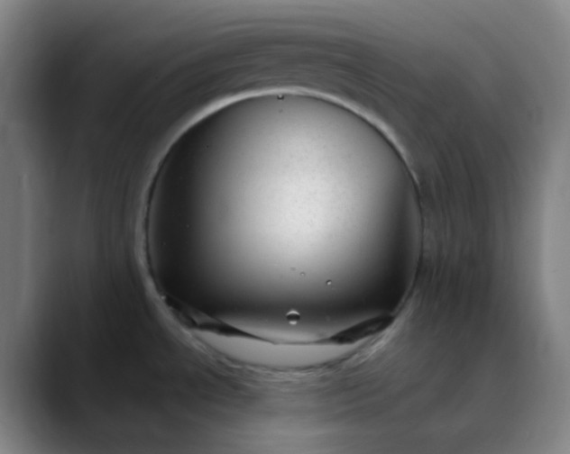 X0000089871534200707121745