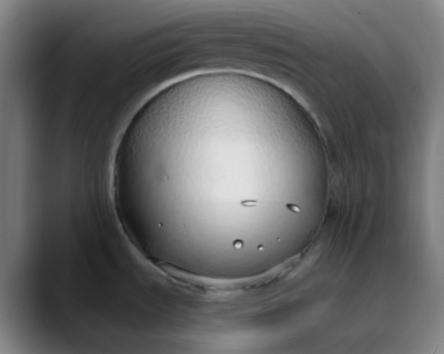 X0000089871535200707121745