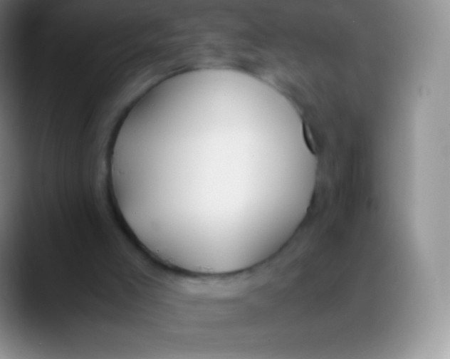 X0000089870005200707191946