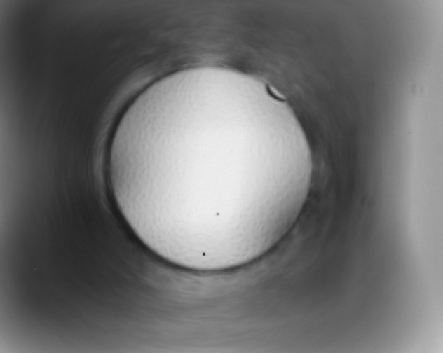 X0000089870006200707191946