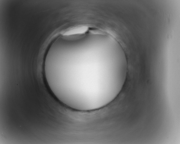 X0000089870007200707191946