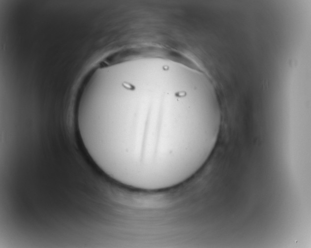 X0000089870008200707191946