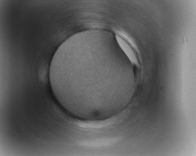 X0000089870009200707191946