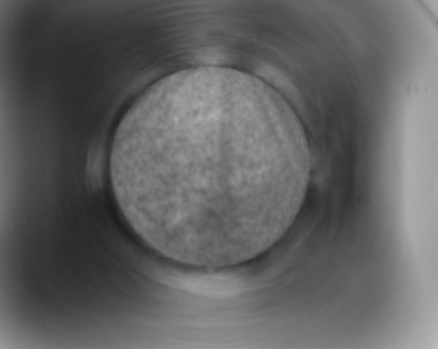 X0000089870012200707191946