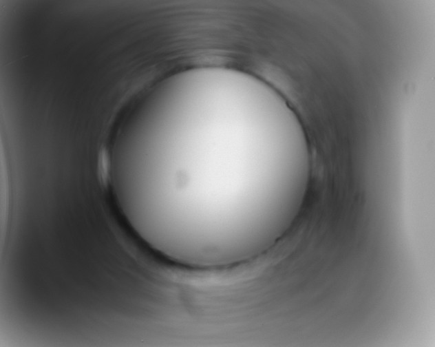 X0000089870013200707191946