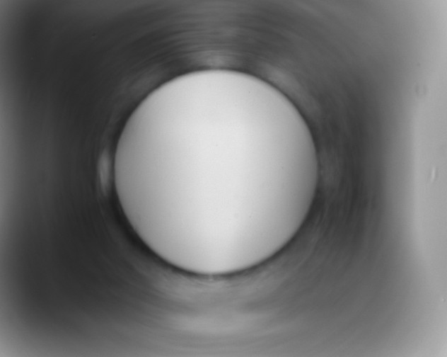 X0000089870014200707191946