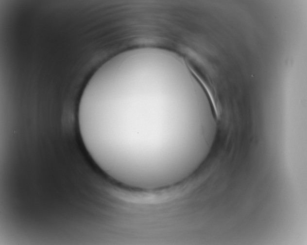 X0000089870015200707191946