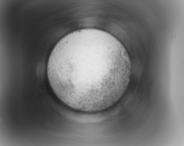 X0000089870016200707191946