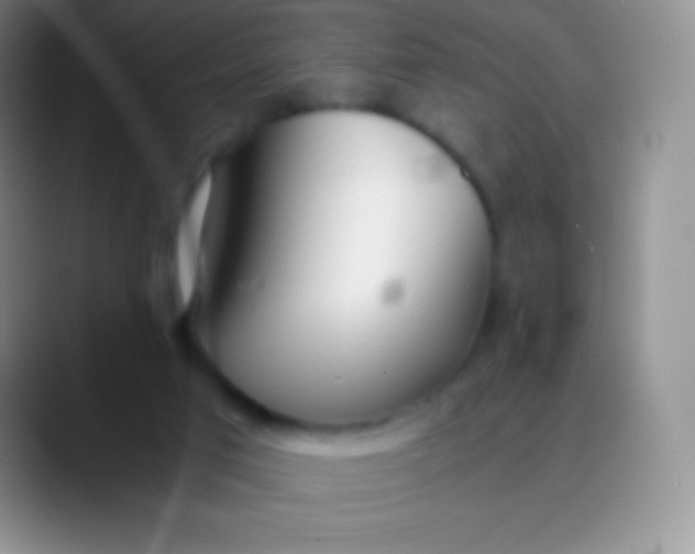 X0000089870017200707191946