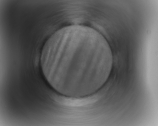 X0000089870018200707191946