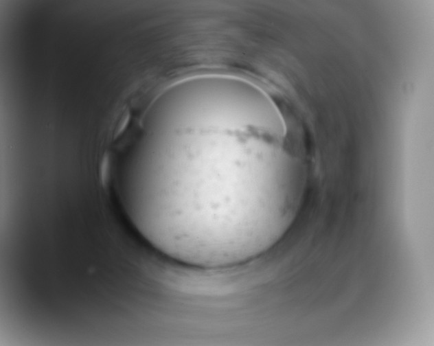 X0000089870019200707191946