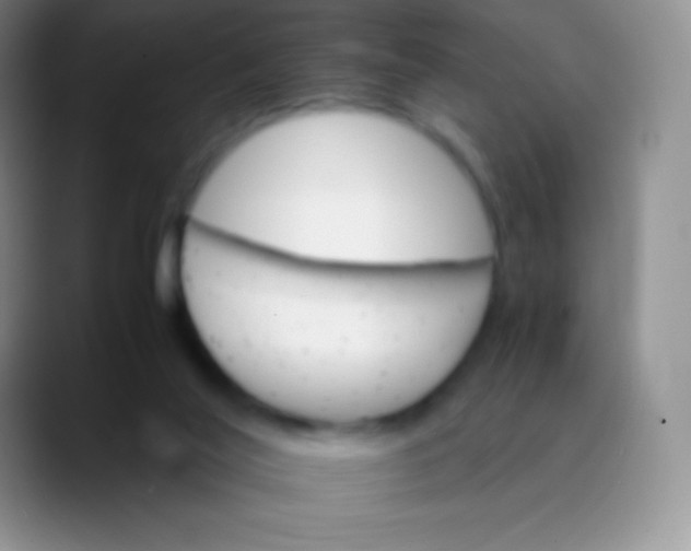 X0000089870020200707191946