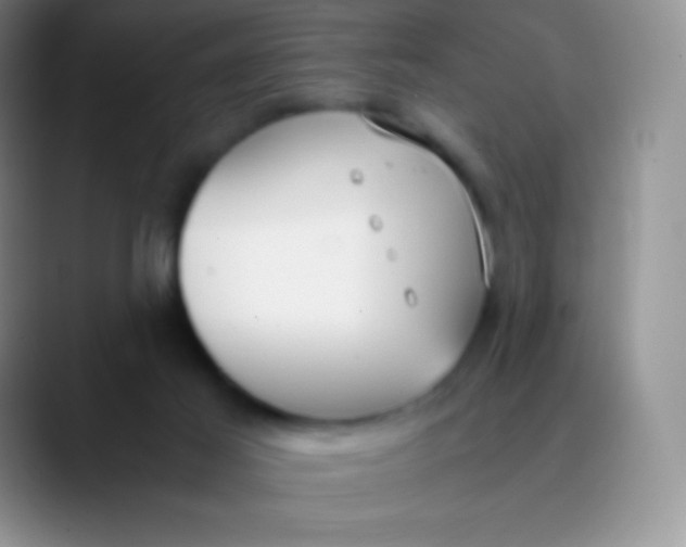 X0000089870021200707191946