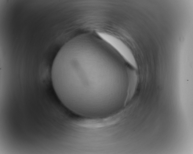 X0000089870029200707191946