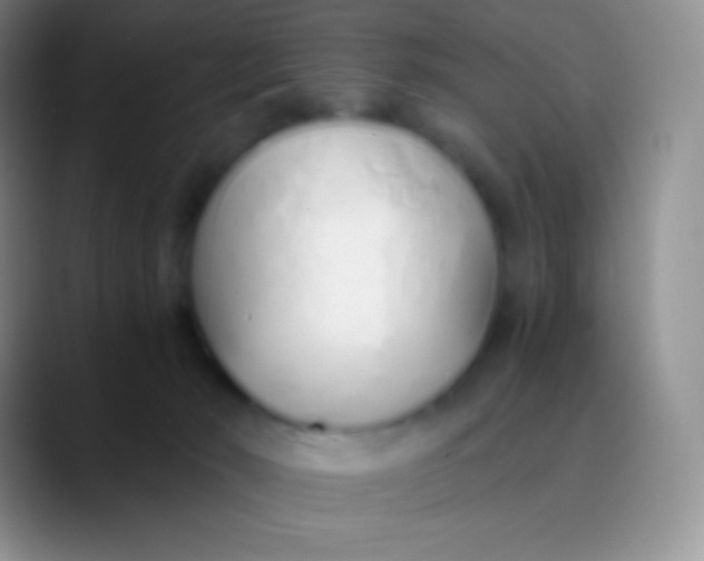 X0000089870030200707191946