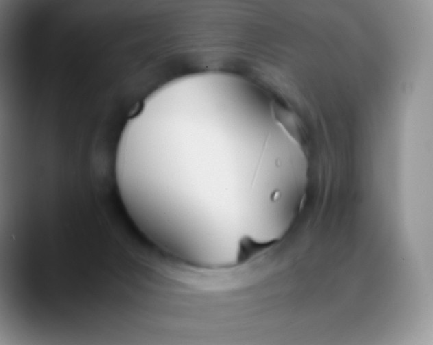 X0000089870031200707191946