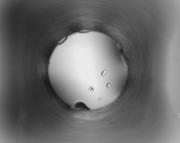 X0000089870033200707191946