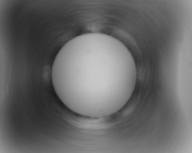 X0000089870036200707191946