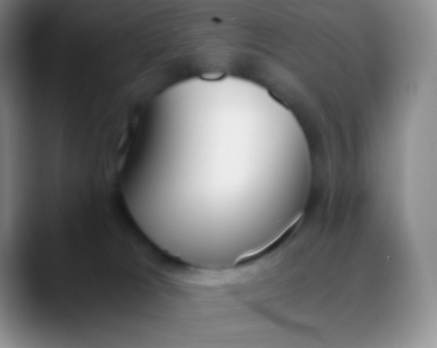 X0000089870037200707191946