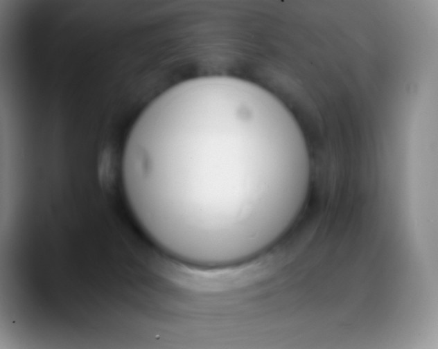 X0000089870038200707191946