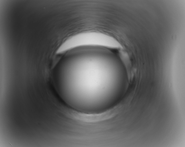 X0000089870039200707191946