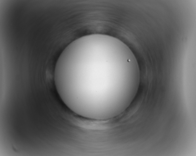 X0000089870040200707191946