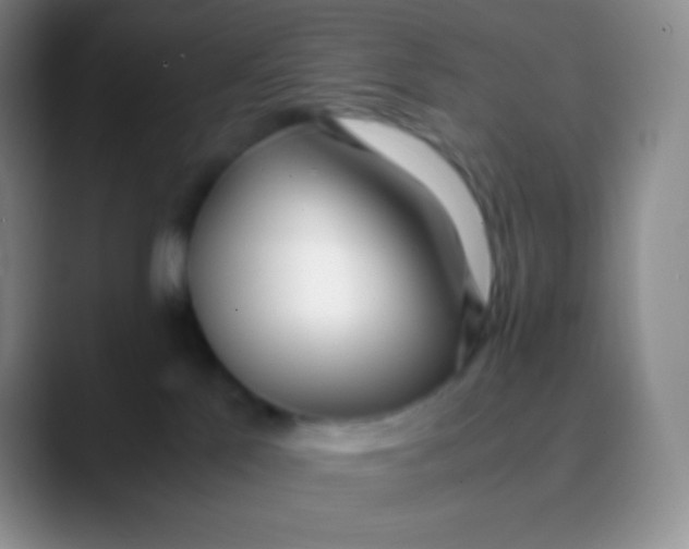 X0000089870041200707191946